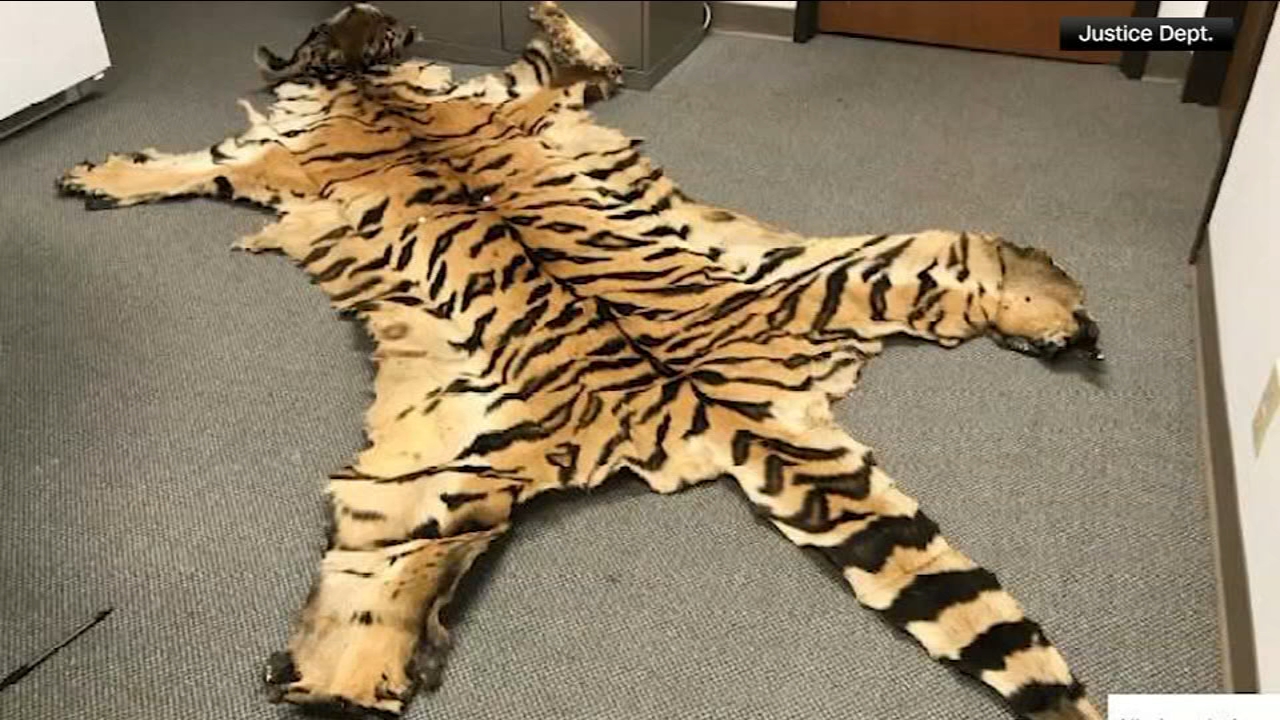 California couple pleads guilty to trafficking wildlife
— 6ABC Action News (Philadelphia)
